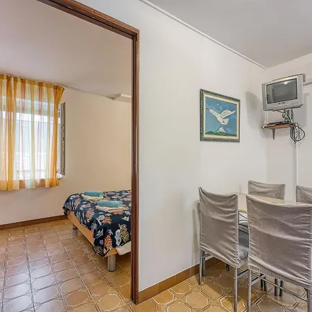 Kamelia Pensionat 3*